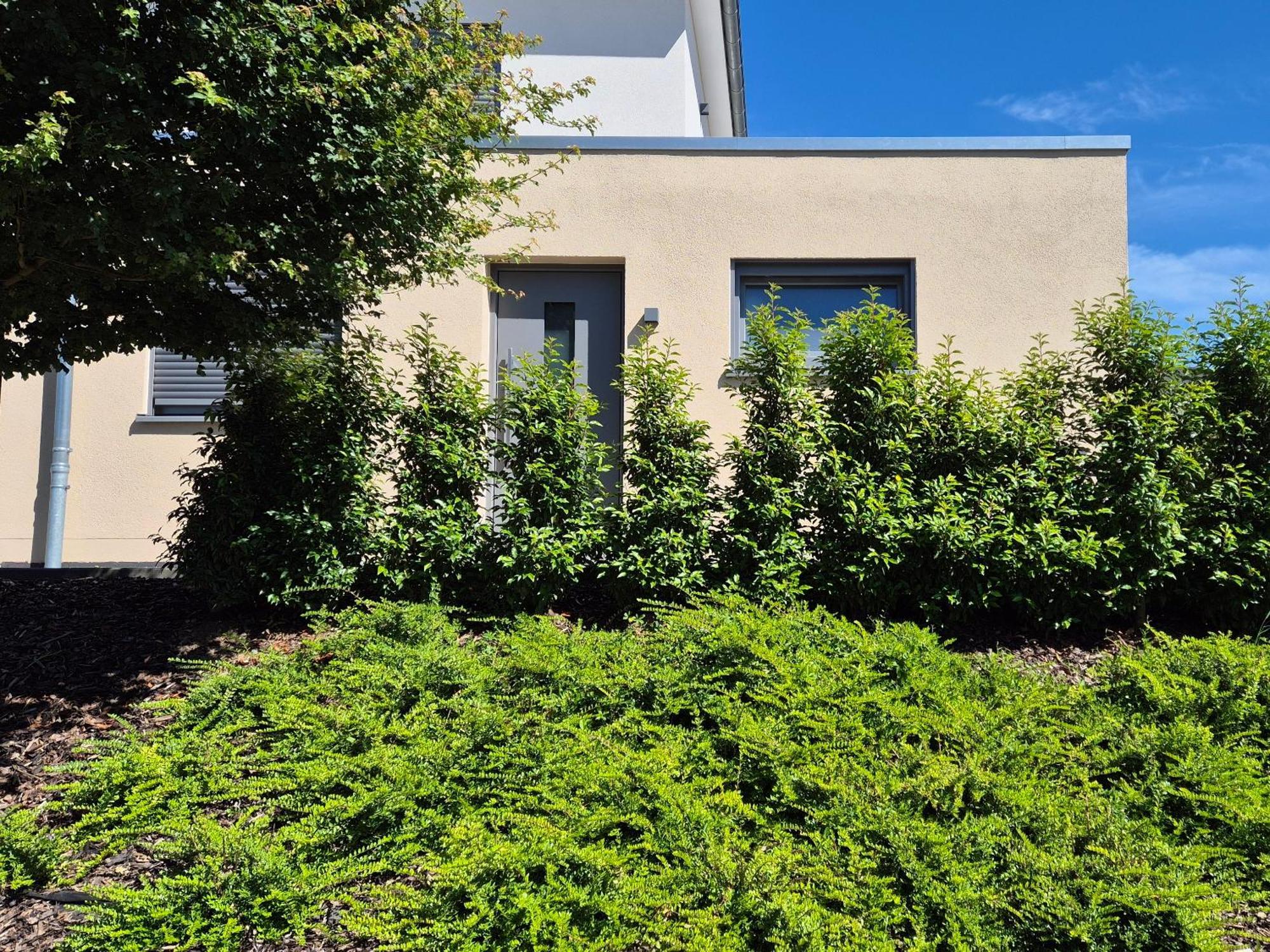 Apartamento Wine & Hike Wincheringen Exterior foto